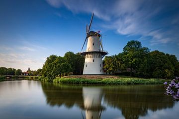 Schöner bewölkter Himmel und eine schöne Spiegelung der Mühle De Hoop in Middelburg von gaps photography