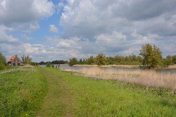 Biesbosch nationaal park van Hans Janssen