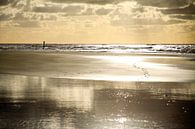 Reflectie op het strand van Cora Unk thumbnail