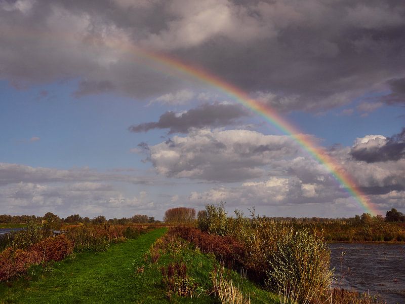 Regenboog in de Biesbos par Henk Goossens