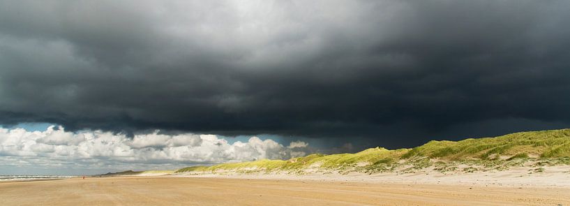 Le paysage est menacé par les dunes par Greetje van Son