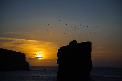 Azoren sunset aan de zee met meeuwen