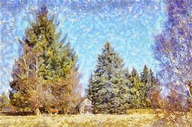 a hut with a pony by Jens-Uwe Ernst