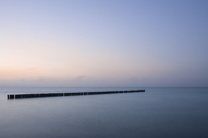 12 Birds by Fine-Art Landscapes