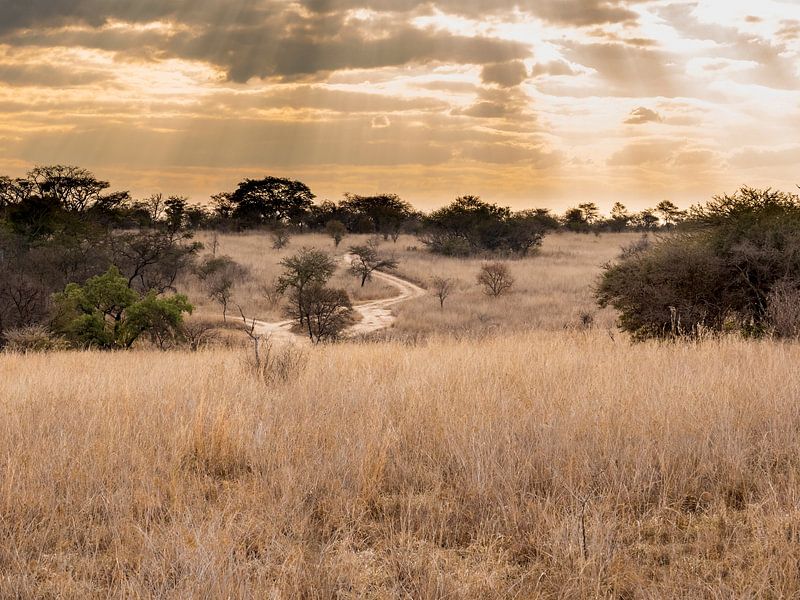 Die Sonne scheint durch die Wolken auf die Landschaft in Antilopenpark Simbabwe von victor van bochove