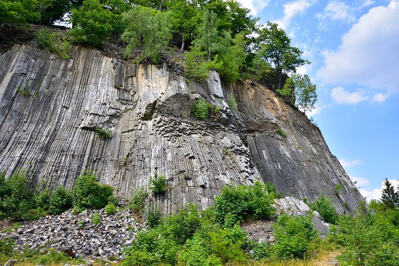 Goldberg van Karin Jähne