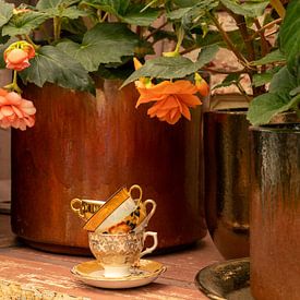 Nature morte, porcelaine chinoise Green House et bégonia dans un pot en cuivre sur Oda Slofstra