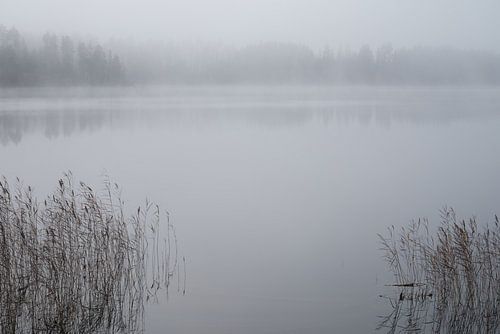 Swedish lake 04