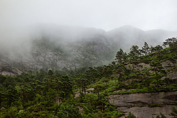 Berge und Wald im Nebel, Norwegen