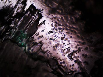 Haribo beertjes onder de microscoop van Wijco van Zoelen