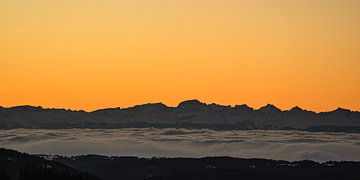 Morgendämmerung am Feldberg