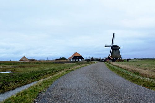 Boerenlandschap, Pettemerpolder Noord-Holland
