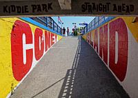 Coney Island Baby I