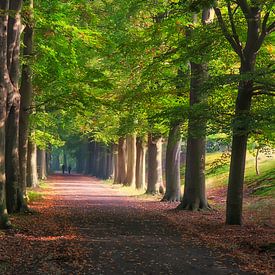 Royal Estates called 'Koninklijke Landgoederen de Horsten' von Fred Konings