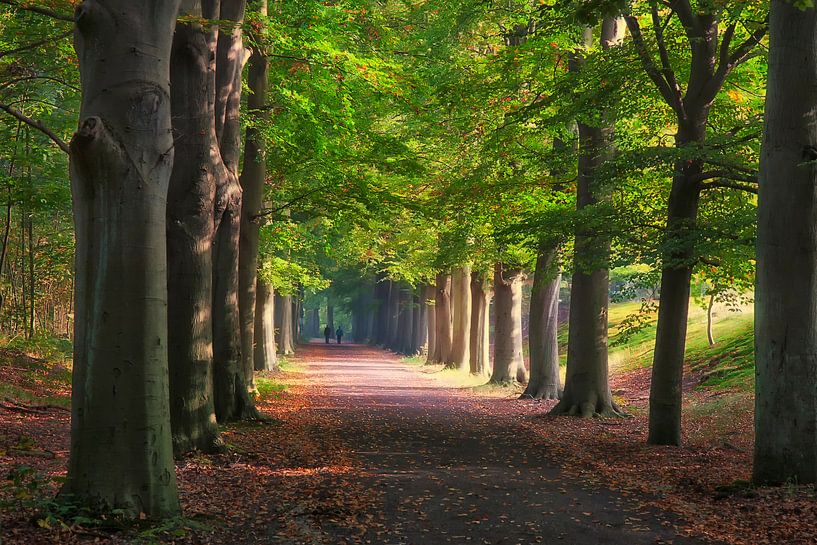 Koninklijke Landgoederen de Horsten par Fred Konings