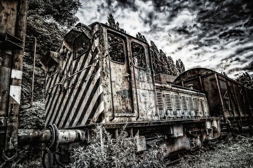 Ones so strong by Freddy Hoevers