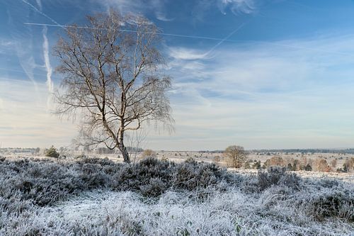 Winterwunderland auf dem Salland-Kamm.