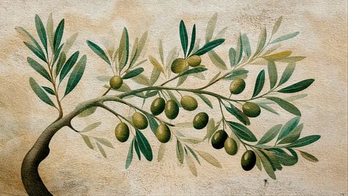 Mediterranean olive branch on a rustic stucco wall