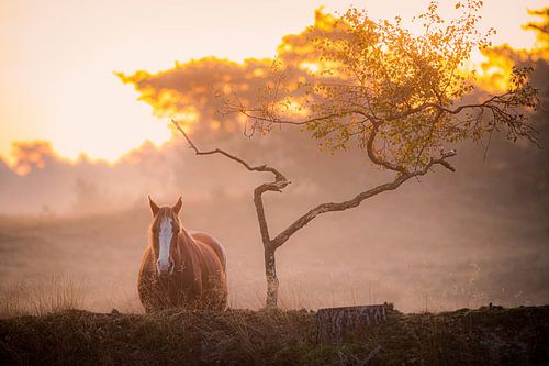 Quand le monde devient doucement un peu plus grand.