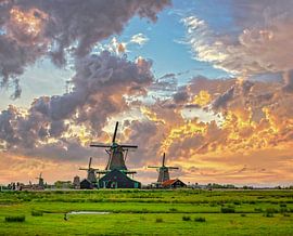 Windmühlen an der Zaanse Schans, Zaandam, , Nordholland