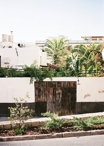 Botanical backyard