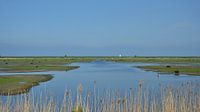 Polder