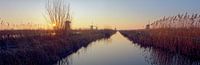 Kinderdijk windmills sunrise panorama