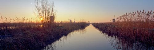 Kinderdijk molens zonsopgang panorama