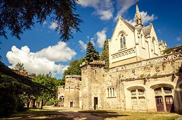 Gevel van het kasteel bij Cunault aan de Loire in Frankrijk van Dieter Walther