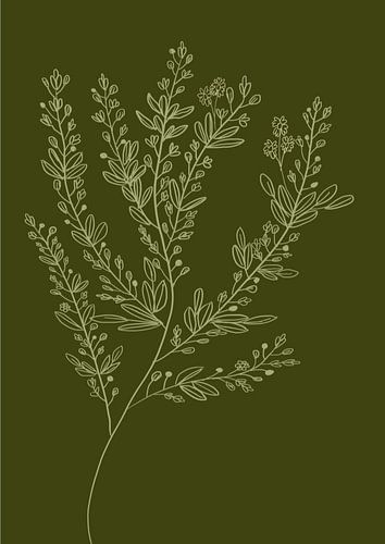 Botanische Tak op Olijfgroen - Minimalistische Lijntekening