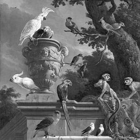 De menagerie in zwart wit , Melchior d'Hondecoeter van Marieke de Koning