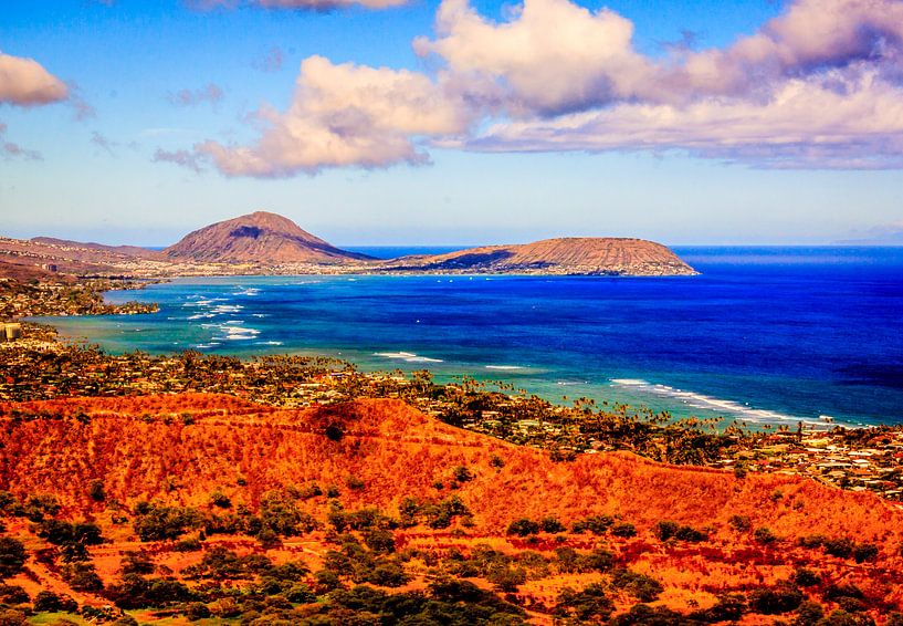 Hawaii van René Holtslag