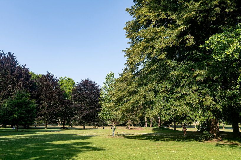 Ossegempark van Richard Wareham