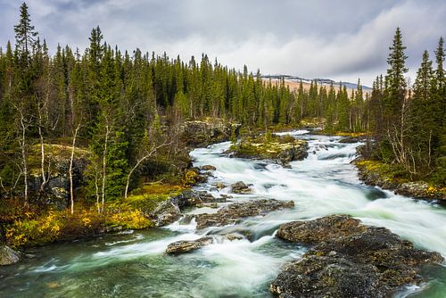River Landscape in Sweden