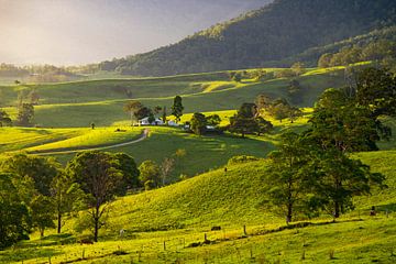 New South Wales, Australie sur Willem Vernes