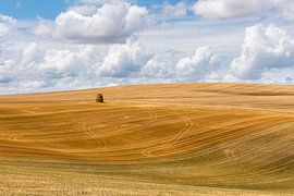 Mown Grain Field with Straw Bales by Daan Kloeg