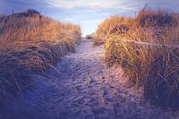 De weg naar het strand