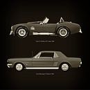 Ford AC Shelby 427 Cobra 1965 et Ford Mustang GT Edition 1964 par Jan Keteleer Aperçu