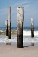Petten aan Zee.