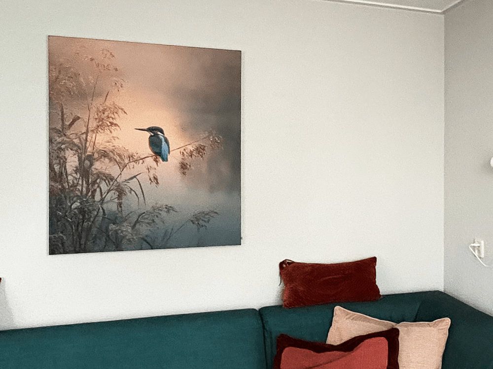 Eisvogel bei Sonnenaufgang, von But First Framing
