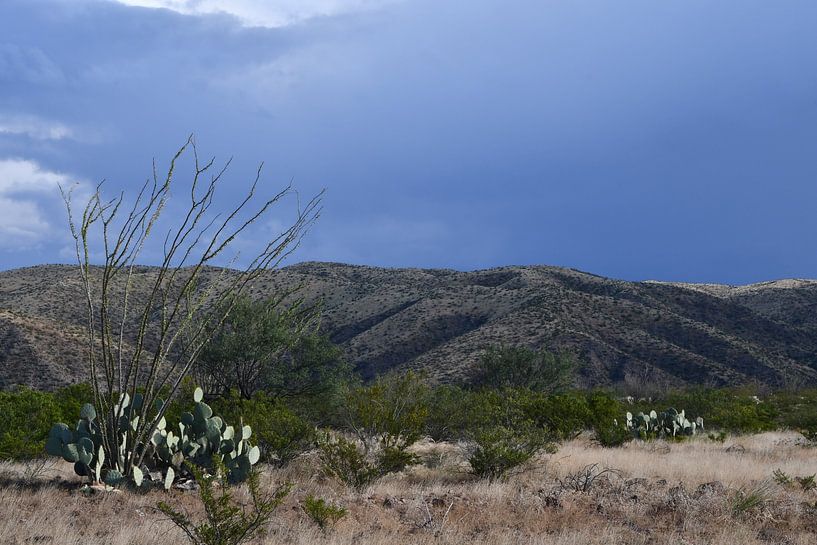 Hiking in Spring Canyon by Bernard van Zwol