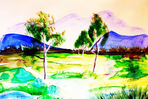 marsh landscape