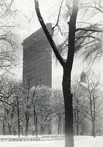 The Flatiron (1903) by Alfred Stieglitz