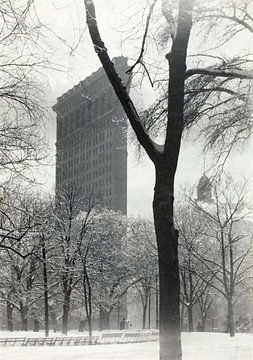 De Flatiron (1903) door Alfred Stieglitz van Peter Balan