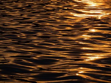 Une surface d'eau dorée sur Katrin May