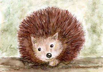 Hedgehog "Snub nose" by Sandra Steinke