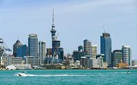 Auckland in New Zealand by Achim Prill thumbnail