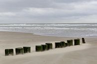 Wintertag auf See am Strand von Ameland an der niederländischen Küste. von Eyesmile Photography Miniaturansicht
