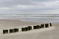 Journée d'hiver en mer sur la plage d'Ameland, sur la côte néerlandaise.