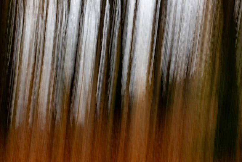 Autumn at Forest House Three, abstract #1 by Hans de Waay
